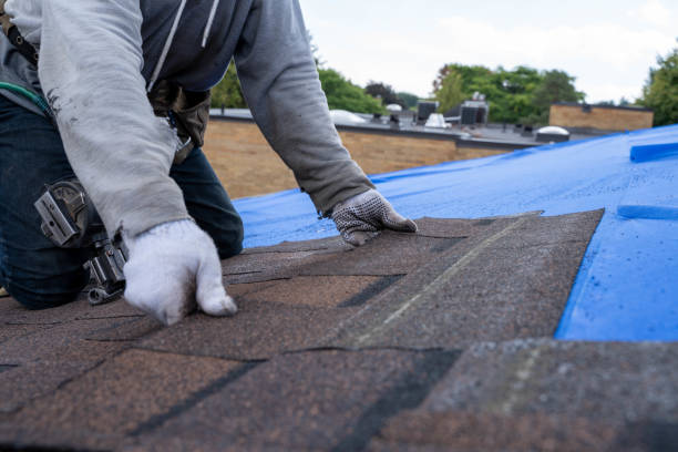 Best Rubber Roofing (EPDM, TPO)  in Lechee, AZ